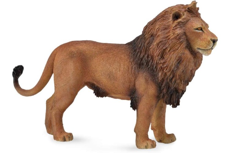 CollectA African Lion figure 88782